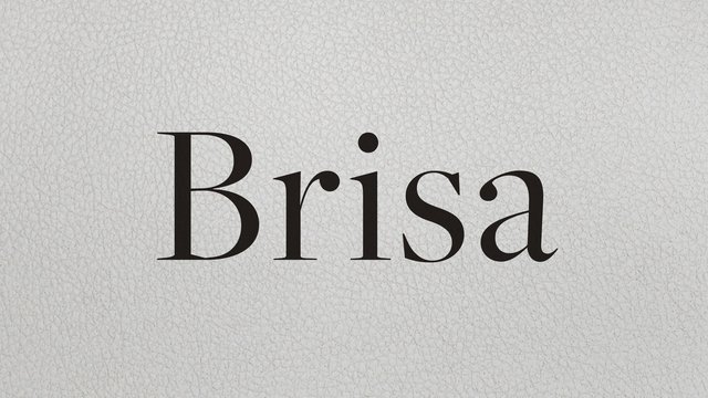 Brisa_web