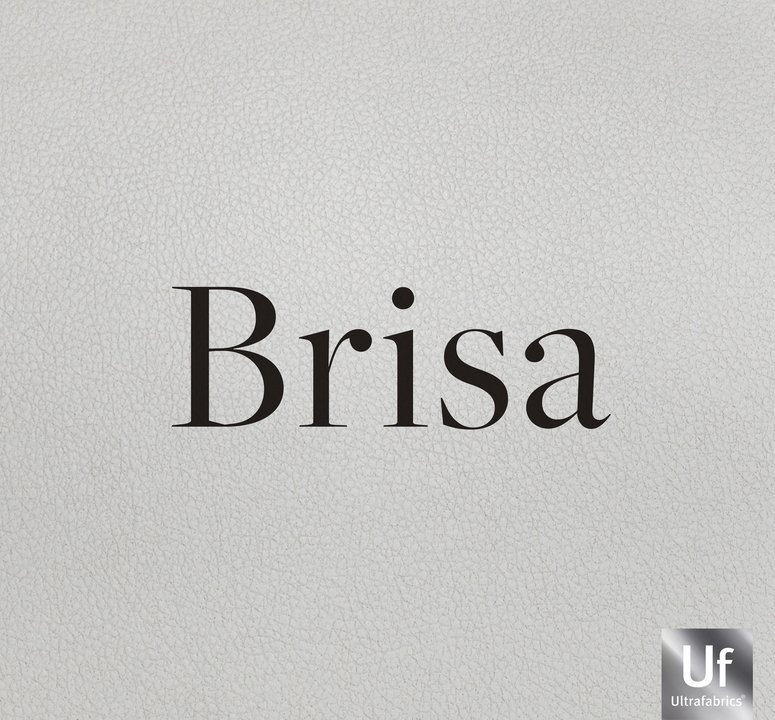 Brisa_web